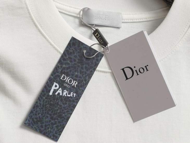 Dior T Shirts Short _SKUDiorS-XLxetr26815599